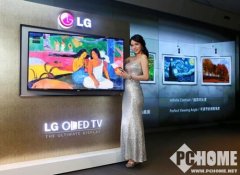 LGD宣布大尺寸OLED面板良品率超80%