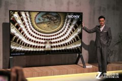 索尼将使用LGD面板 推大尺寸OLED电视